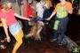 Thumbs/tn_Wagenmakersbal 2017 404.jpg